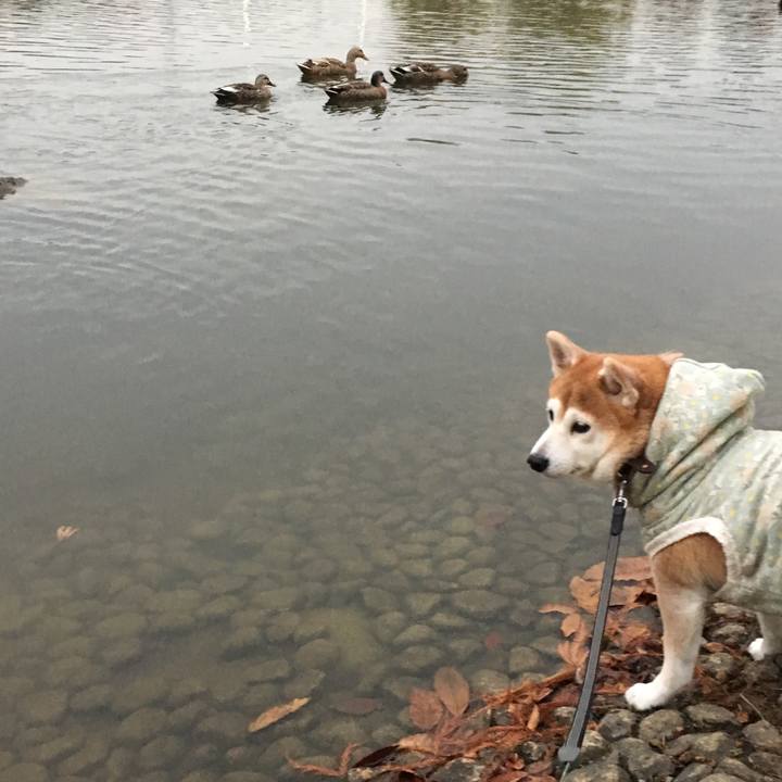 0d22c1bc 3a98 4433 b7d6 423c2c5ad320