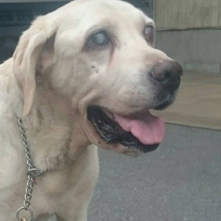 0d22daed 67c6 4ba0 8be9 69ded236e2fa