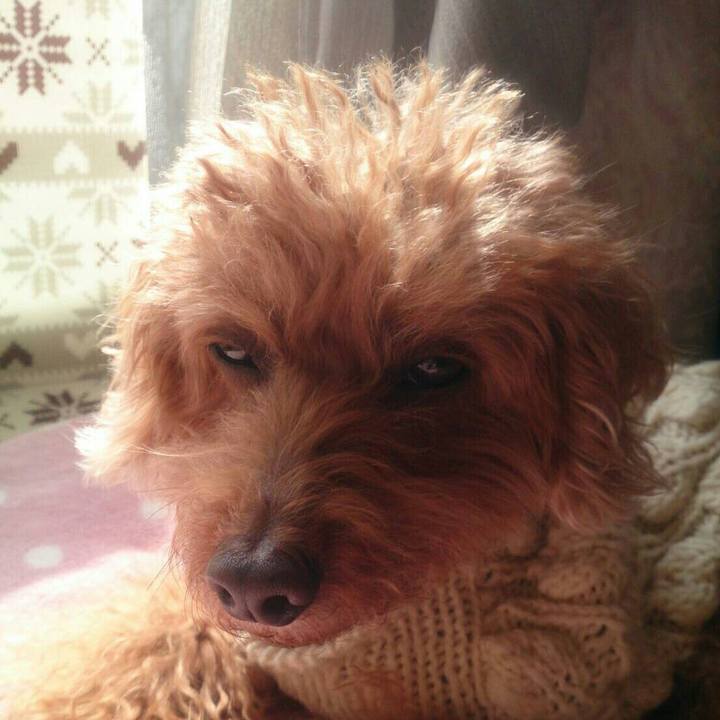 0d235c04 49a4 4d16 b214 980621b7be00