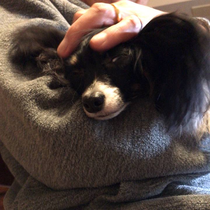 0d236a26 2457 445e b14e acf8233ea93e