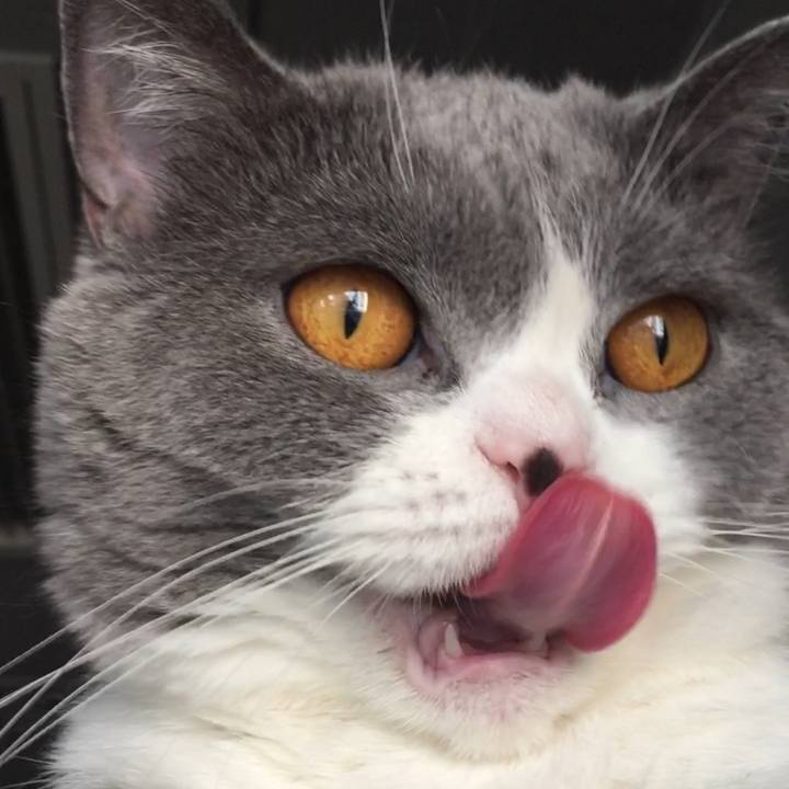 0d23feed ae1d 4bc5 9090 cab43a37fe47