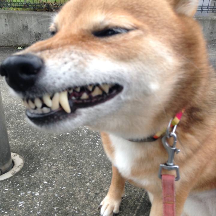 0d243358 5bad 4397 af9d 25d4da2756aa