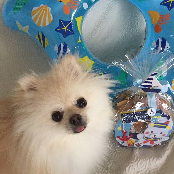 0d2439cf b711 4652 9b75 c999e4b03602