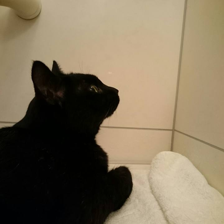 0d248358 200b 4a48 a5fe a087c270d490