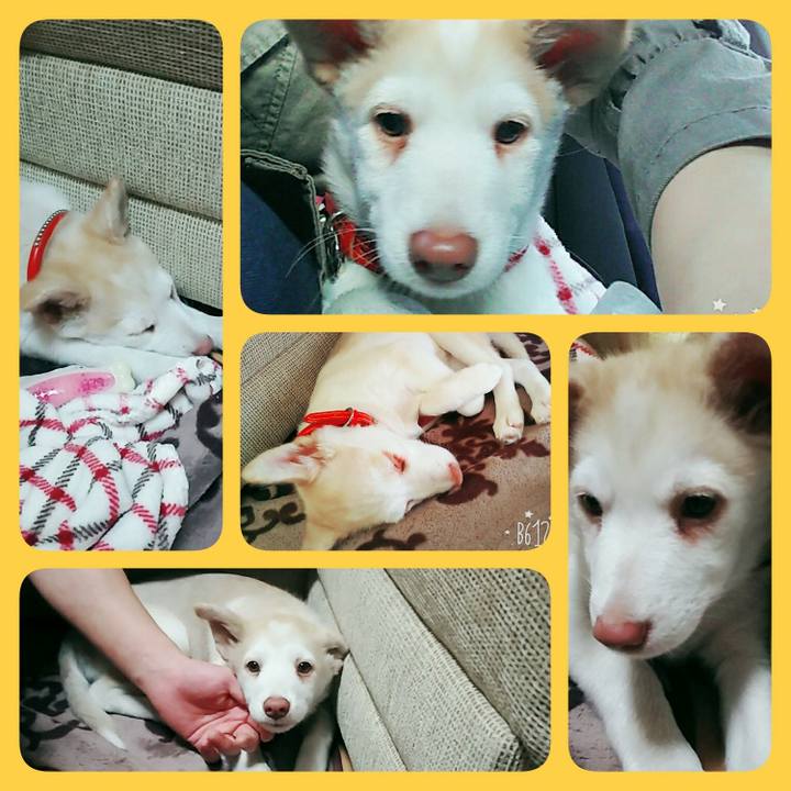 0d248c8e 479c 4c03 81f0 d2187a1f4b5a