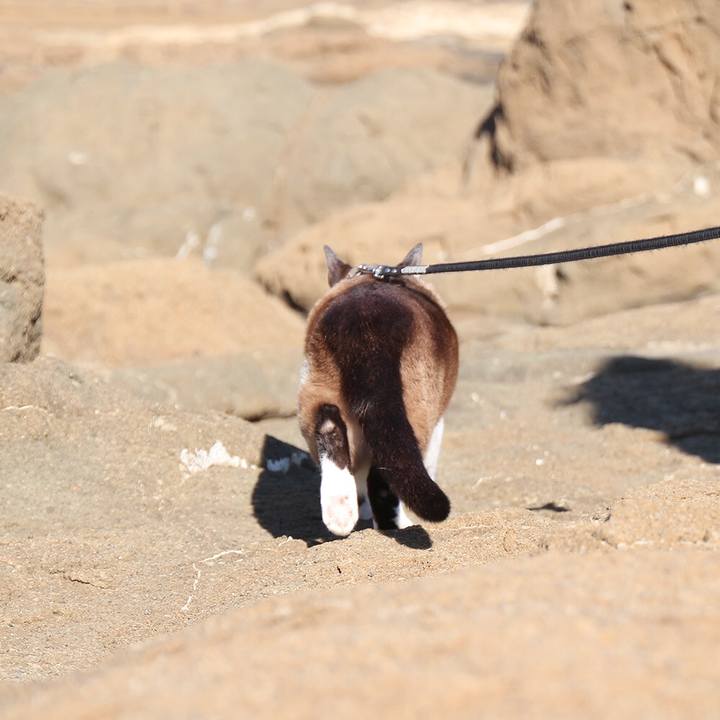 0d24fea6 4a78 44d4 8733 3b085480ad89