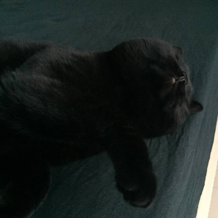 0d2517d4 618d 436a b67c db5d0a6ec409