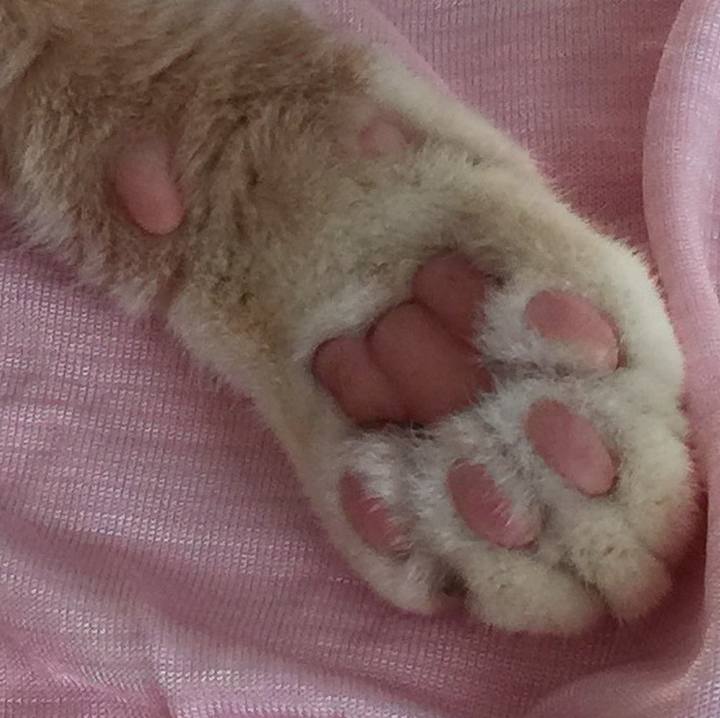 0d25db08 ce78 4411 95ef 4b8080ea2497