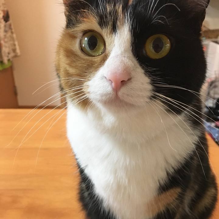 0d2681a9 3949 4a70 a990 655304c12bf0