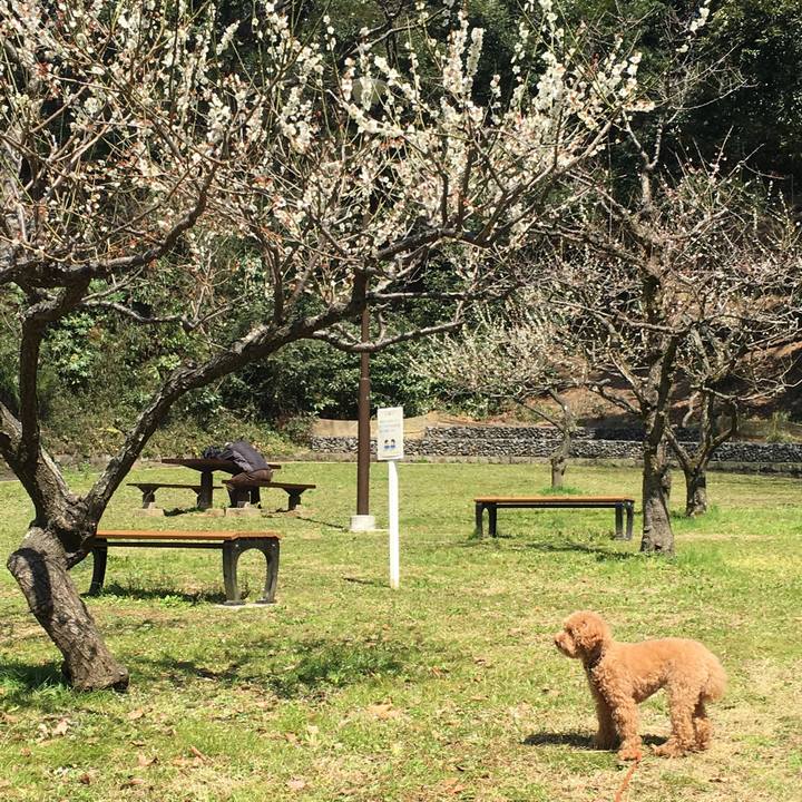 0d26ec2e 0452 4bde 9cc7 4c8066397eaf