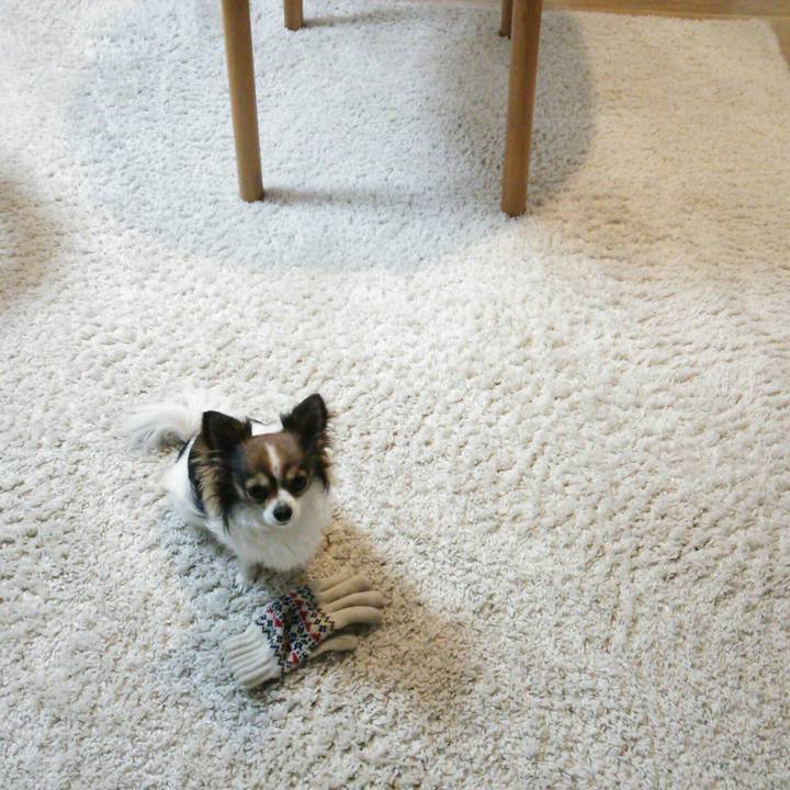 0d27a071 6390 4fbd 86cd 386b2e06270a