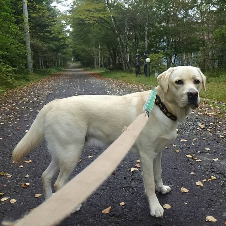 0d282993 2e7b 4893 a4f3 81f1c26d61d1