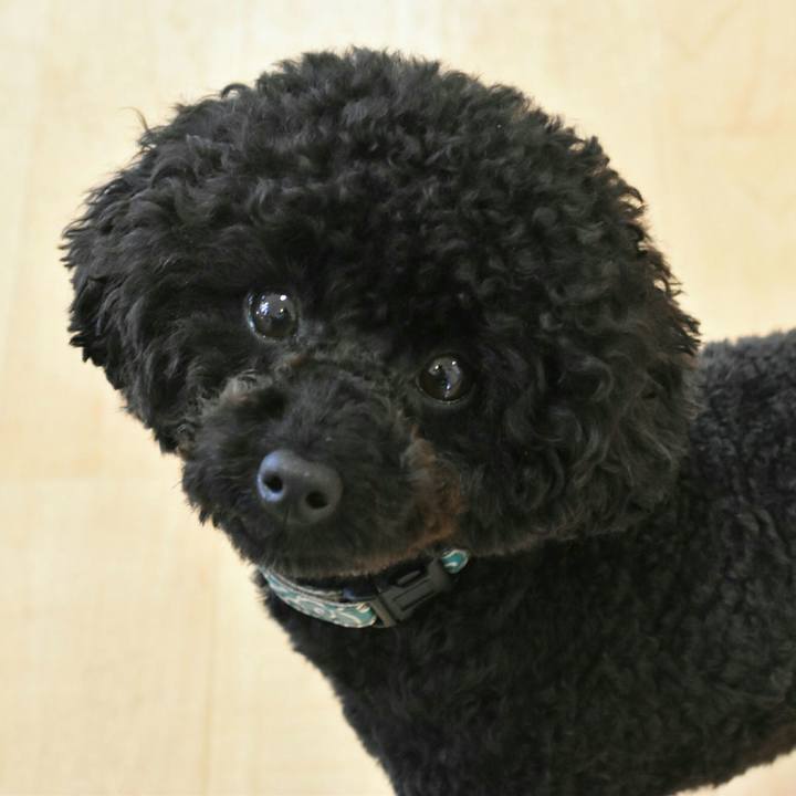 0d283500 cf1e 4f9d 9282 59943129d9ee