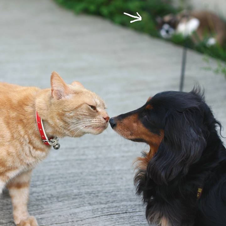 0d290c01 4731 45ca 894a 0eae5b82d1df