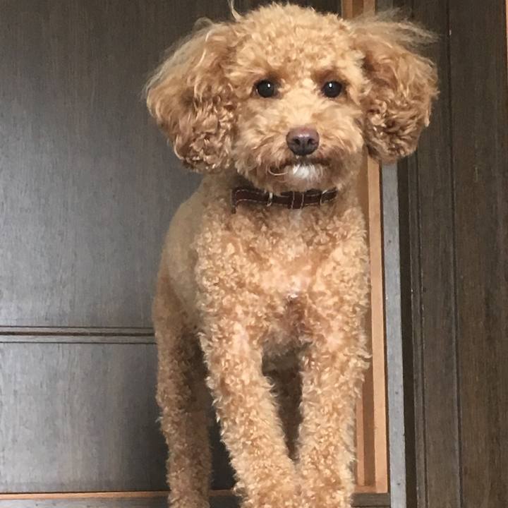 0d29baee 8de5 41ea beb3 8fc3a8917423