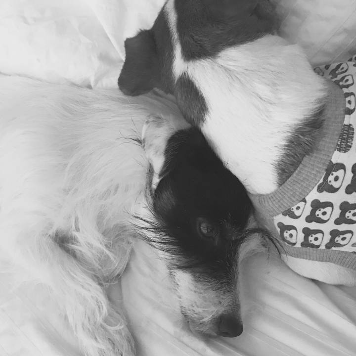 0d2a076e 14da 4516 a5f8 9a65ccc934c2