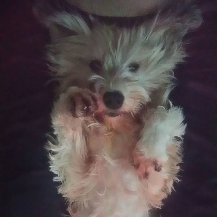 0d2a582e 9324 4543 8843 56d7743df3cc