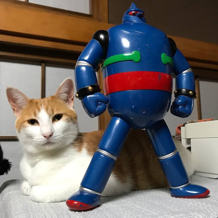 0d2aefca c8d2 4f07 b5a7 410f1d59649a