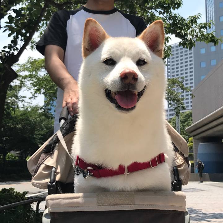 0d2bccb9 a132 446f 8cb4 03e3c88173f2