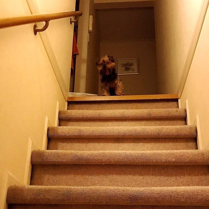 0d2c2976 8197 40ee bdc0 0dd8760c08c0