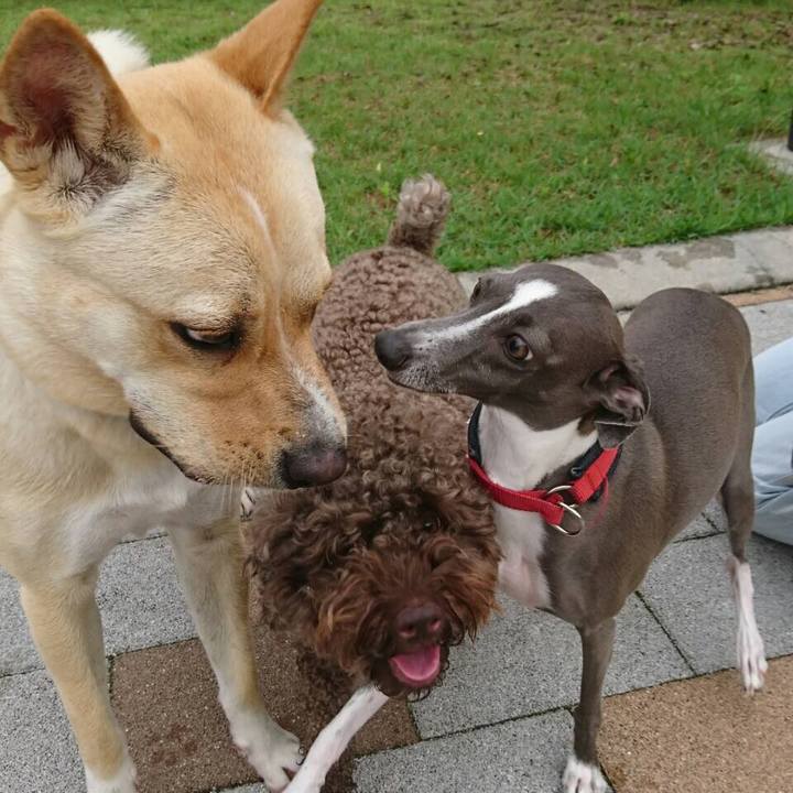 0d2c4d3e 0d09 480b b64d e35ab0bbd09b