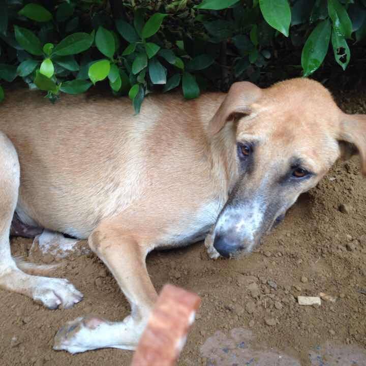 0d2ca30f ad01 4137 b9d9 3d34e4605c1b