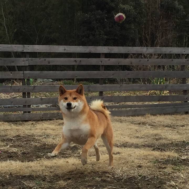 0d2e9810 f63d 43fa 80ec 267814aa96c2