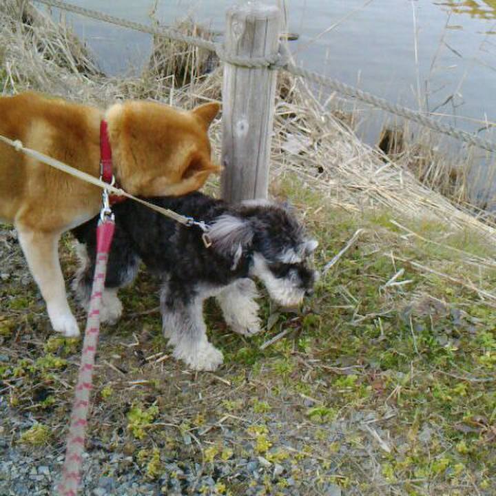 0d2ebcae 85cf 482b 9478 15d3bb06ec22