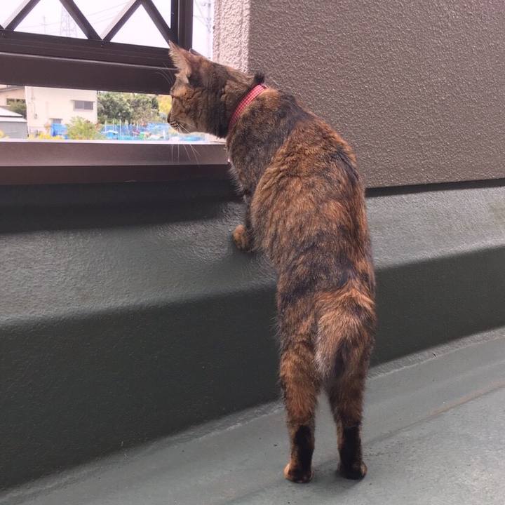 0d2edbc5 a9e7 45cc 967a 0065ccb8af85