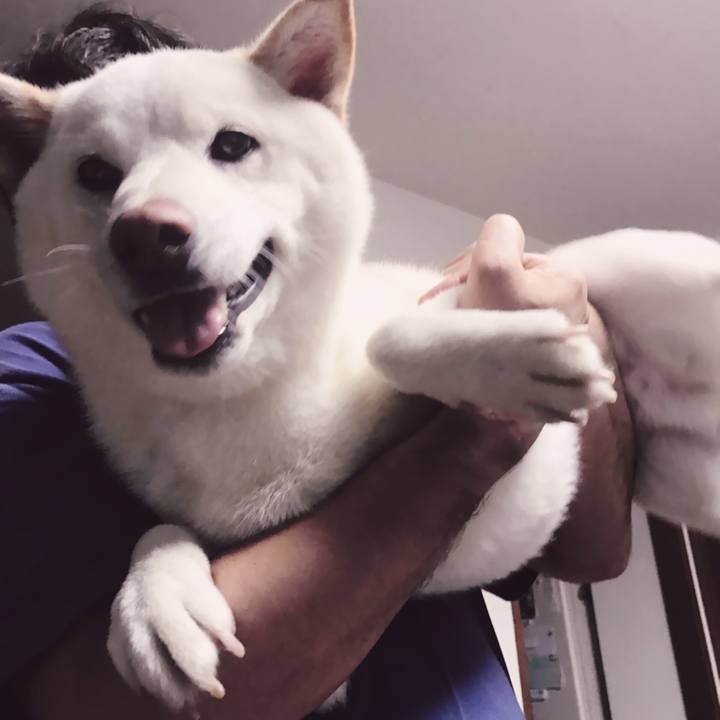 0d2ff423 c301 4afc 9920 5fe4ef937121