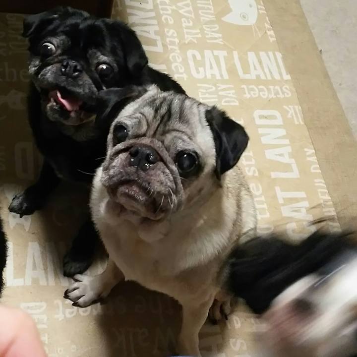 0d304d7b 1480 4a62 867e 2156ae625913