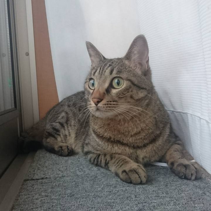 0d305961 1091 4f23 9c7c 2580ffe91f1b