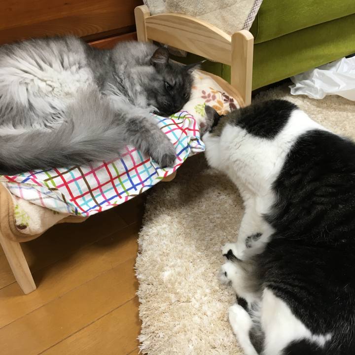 0d30e289 390c 4498 ba84 ec4a8fd4bb92