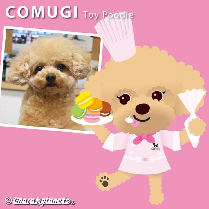 0d3176e6 bb24 470c 8eb7 d59abc9c91e1