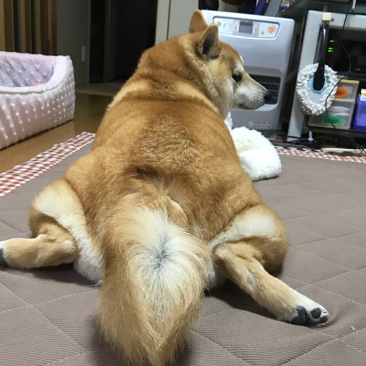 0d3194cf 6feb 448f be40 9d99b9c2e604