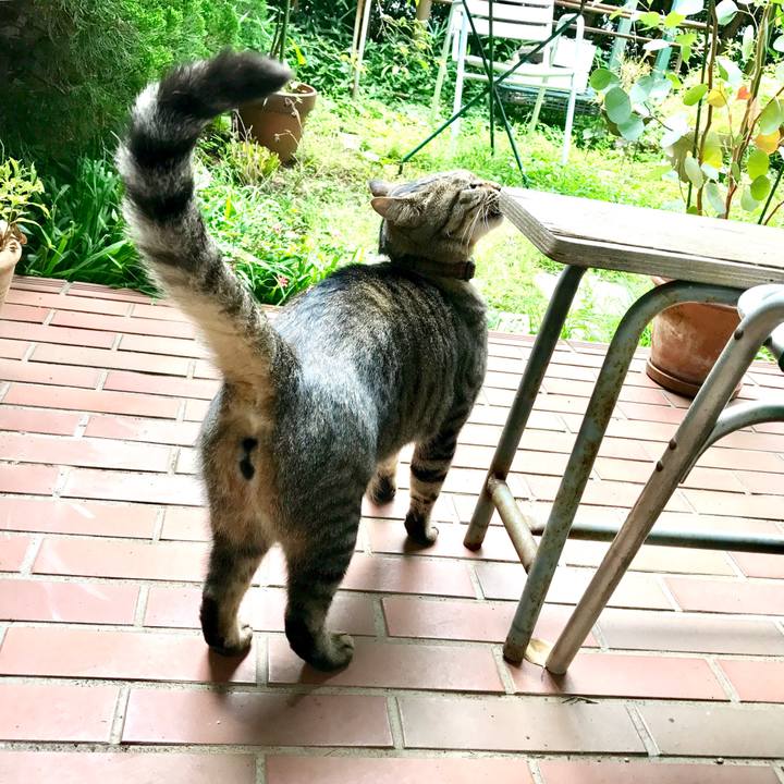 0d31a48a 9a7f 4125 8a5a f6f0768a43c5