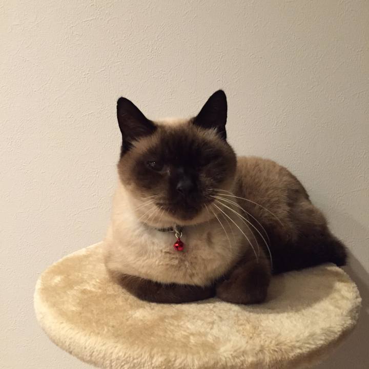 0d31be3d 0456 4a2c a968 ac77501689dc