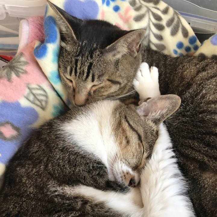 0d31daa2 c6f4 4116 bb38 f952b0a53218