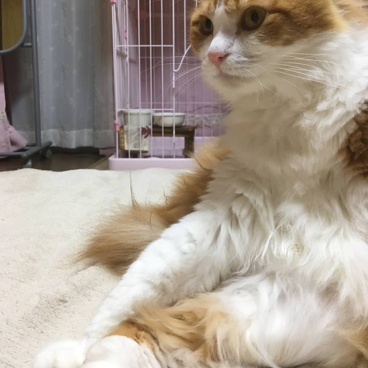 0d323f7e 67e8 4052 8ff2 a0f42f985ccd