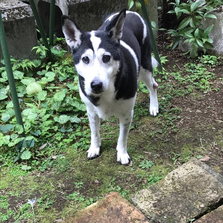 0d32a883 1c3a 41b0 b397 c9d595ff5404