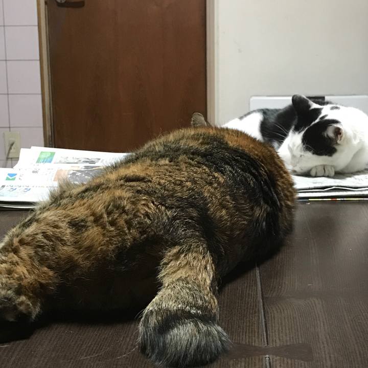 0d32af30 34bc 4c45 b60b ec4dc7126dfe