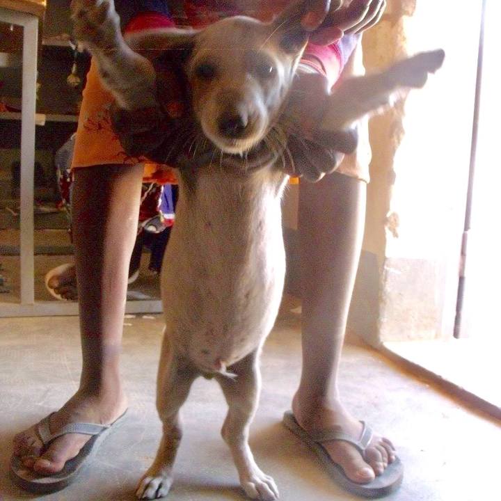 0d32d5fd c0fa 444d bde1 e40f69d6e144