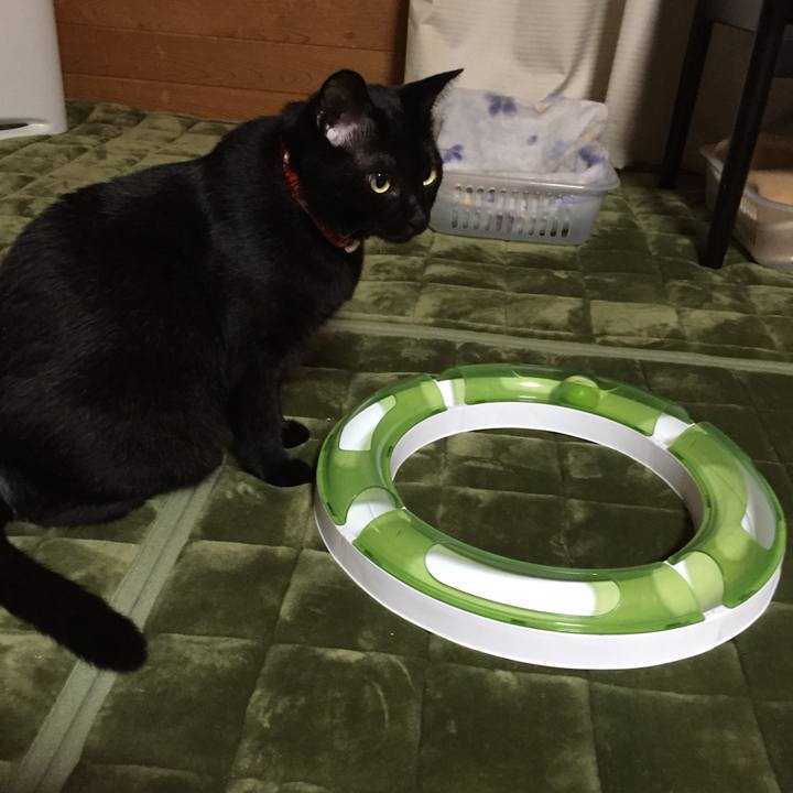 0d32ff53 d7ff 4378 aa10 61153e4699c0