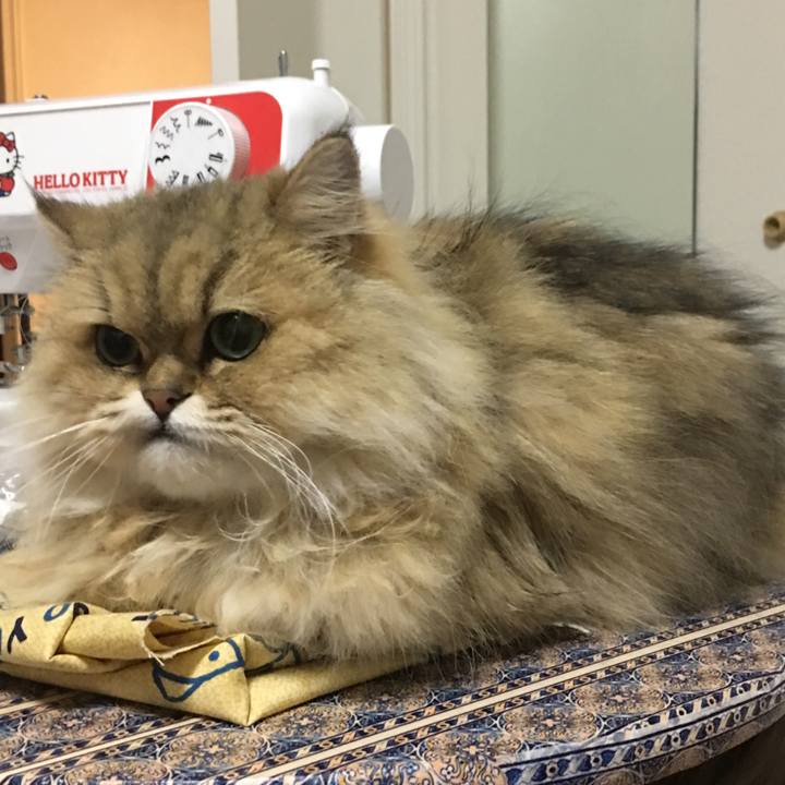 0d335737 74b5 4c33 8c2b 78fd6102f30f