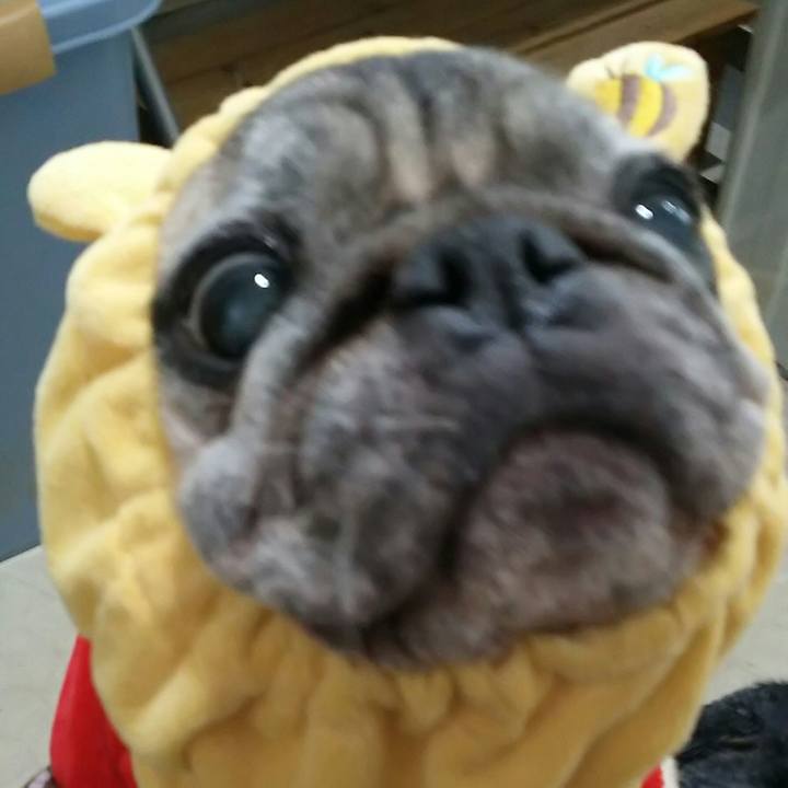 0d33acd1 cfee 4f9e b030 b5dca37e56c8