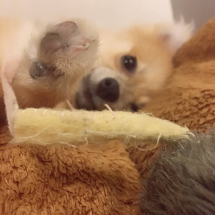 0d352041 6585 4a37 8d67 b5b708d02ca1