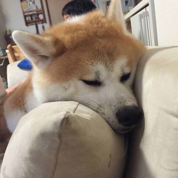 0d370708 7e86 4e56 84e9 e80d48c465e8