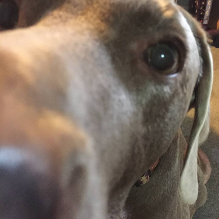 0d373023 9748 434c a928 b9d0da5fdfb8