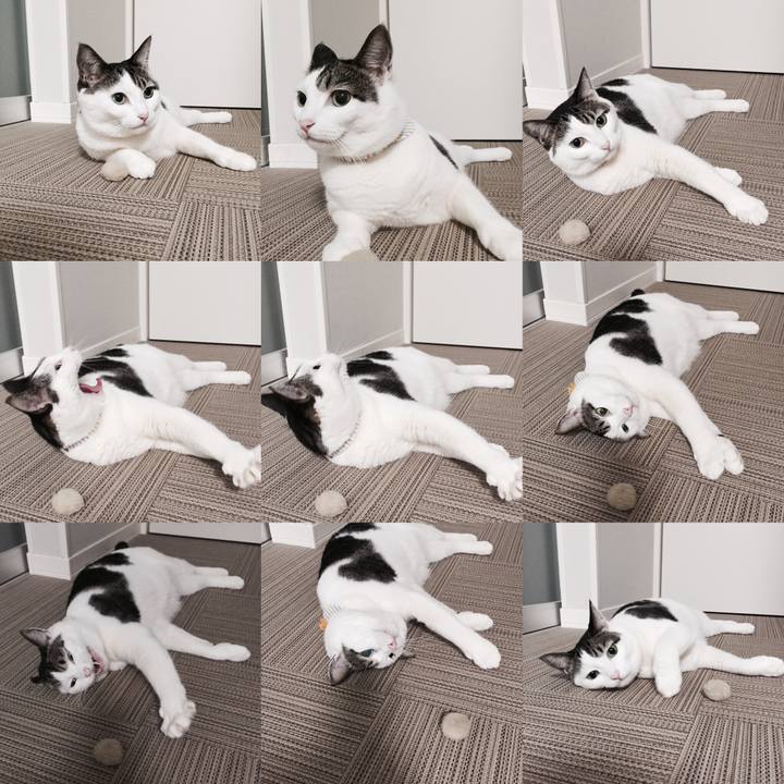 0d373aae 4a3e 406e a0b1 9f1a3d59aef3