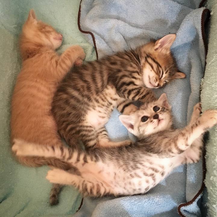 0d37402c b263 4c01 bdef 48ad277b36f7